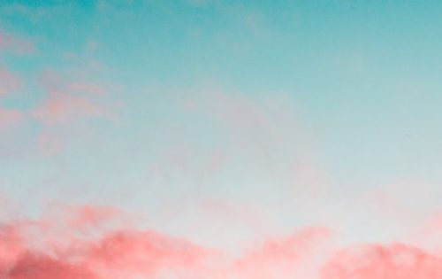 Topimage_Essay_20240116